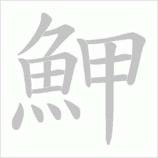魻字笔顺动画