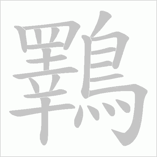 鸅字笔顺动画