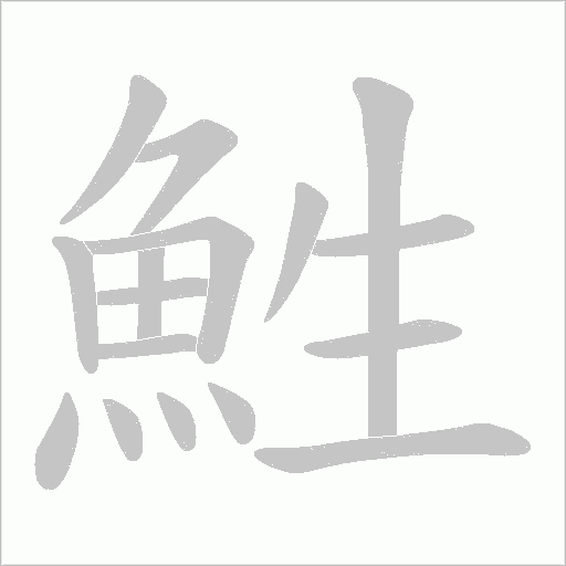 鮏字笔顺动画