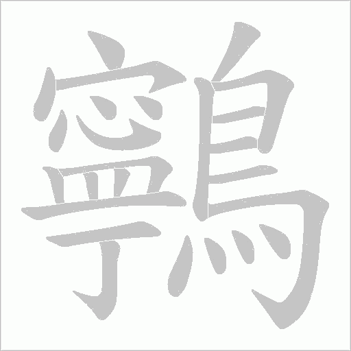 鸋字笔顺动画