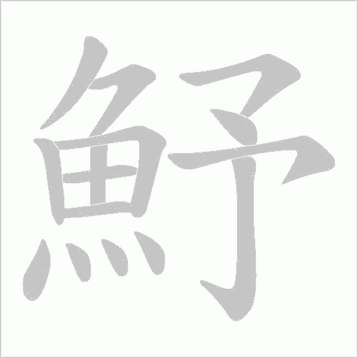 魣字笔顺动画
