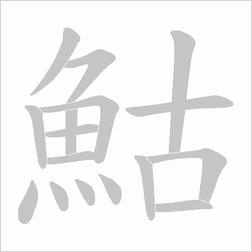 鮕字笔顺动画