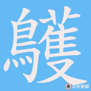 鸌字笔顺动画
