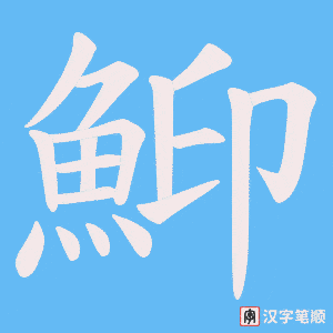 鮣字笔顺动画