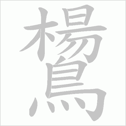 鸉字笔顺动画