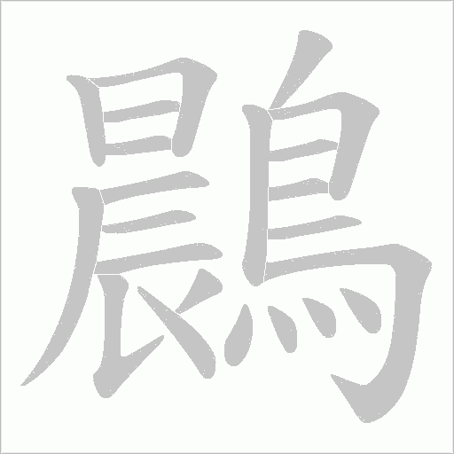 鷐字笔顺动画