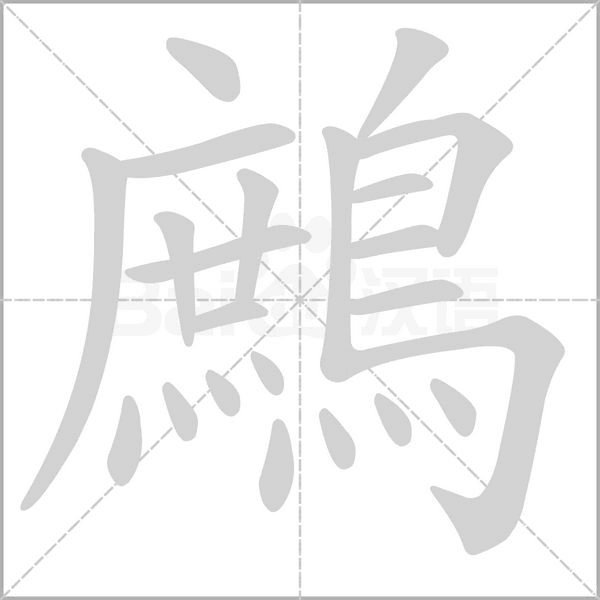 鷓字笔顺动画