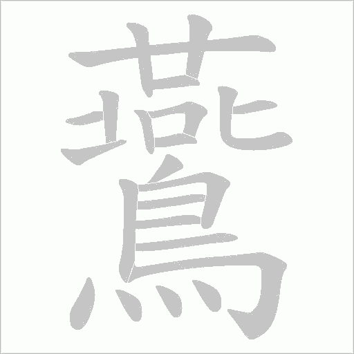 鷰字笔顺动画