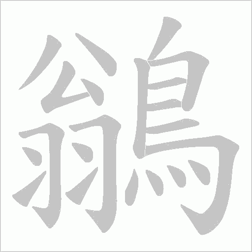 鶲字笔顺动画