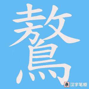 鷔字笔顺动画
