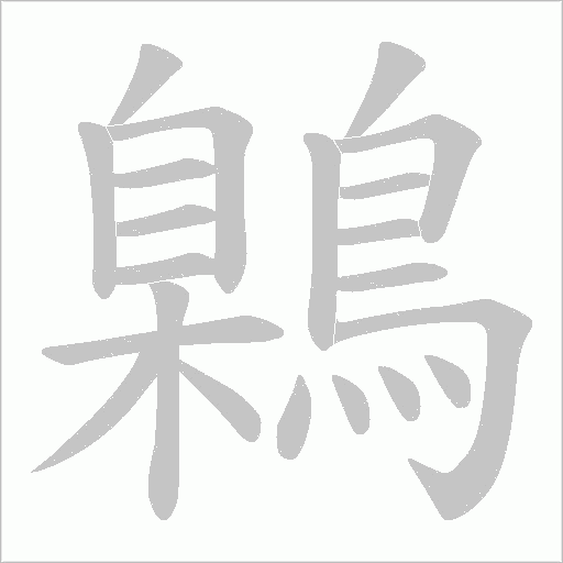 鷍字笔顺动画