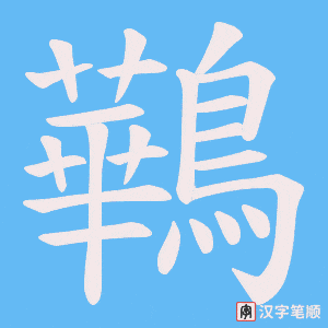 鷨字笔顺动画