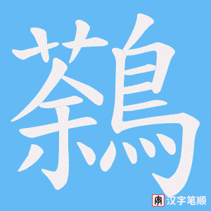 鷋字笔顺动画