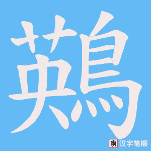 鶧字笔顺动画