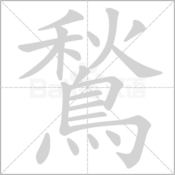 鶖字笔顺动画