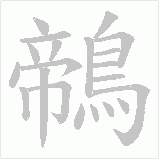 鶙字笔顺动画