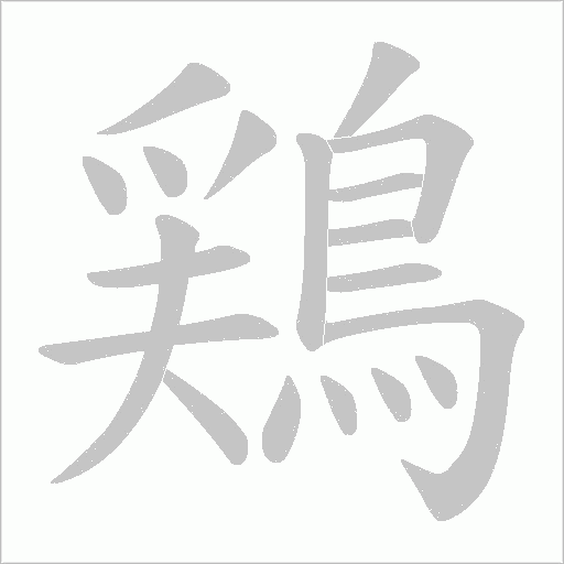 鶏字笔顺动画