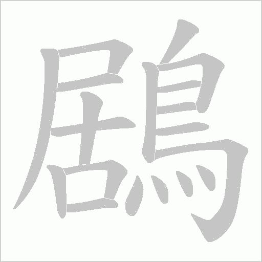 鶋字笔顺动画