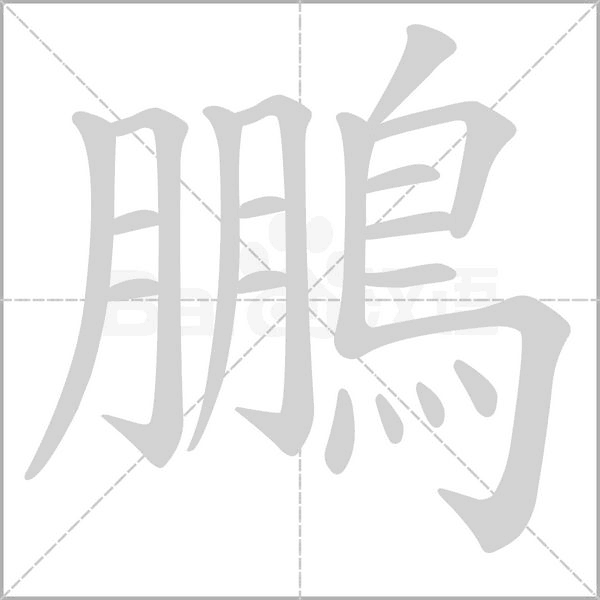 鵬字笔顺动画