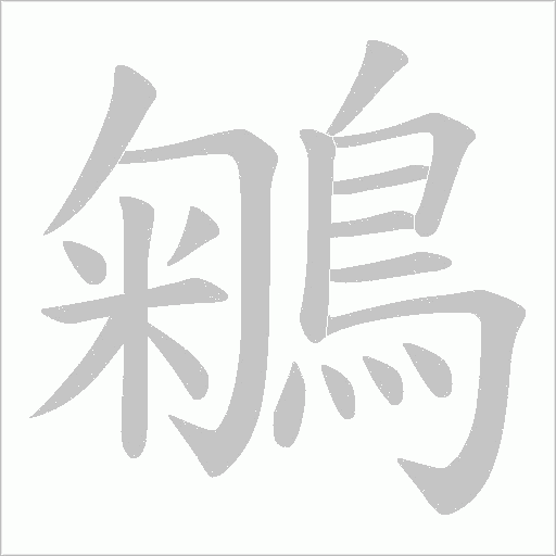 鵴字笔顺动画