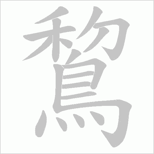 鵹字笔顺动画
