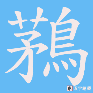 鶜字笔顺动画