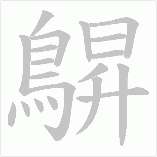鵿字笔顺动画