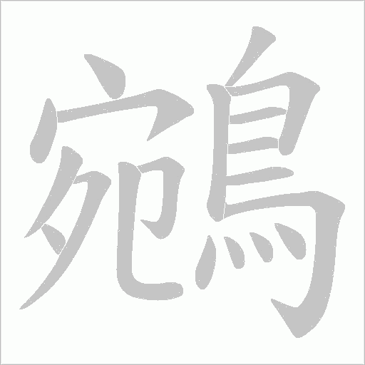 鵷字笔顺动画