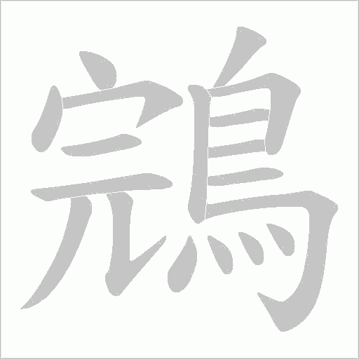 鵍字笔顺动画