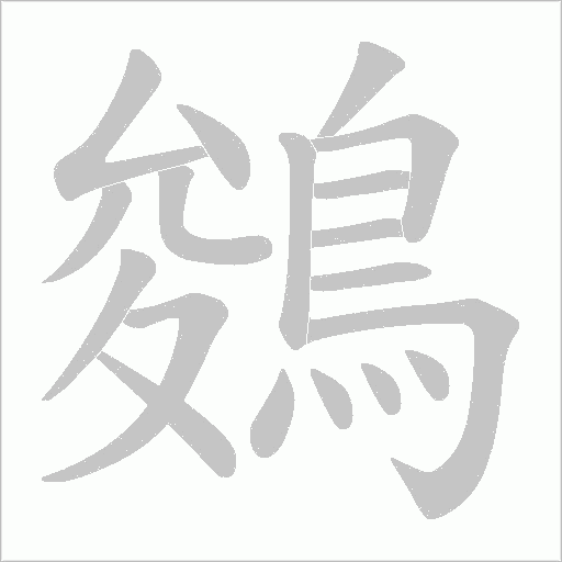 鵕字笔顺动画