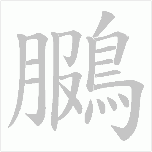 鵩字笔顺动画