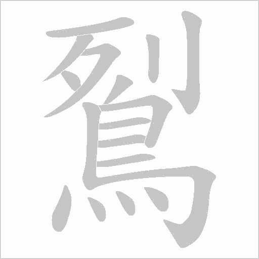 鴷字笔顺动画