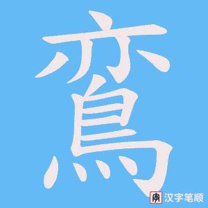 鵉字笔顺动画