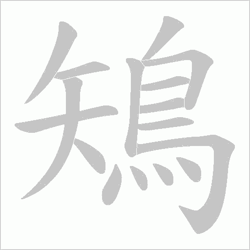 鴙字笔顺动画