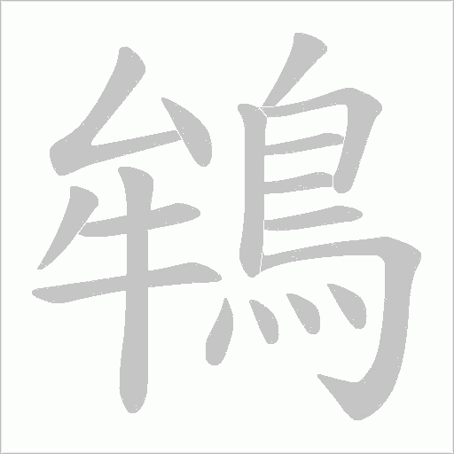 鴾字笔顺动画