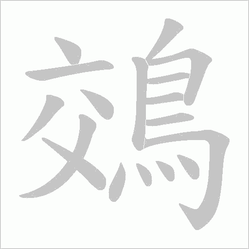 鵁字笔顺动画