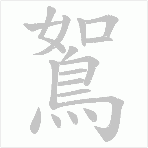 鴽字笔顺动画