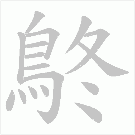 鴤字笔顺动画