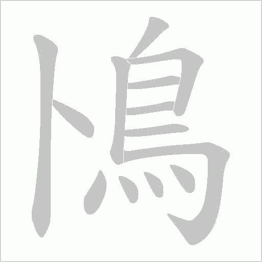 鳪字笔顺动画