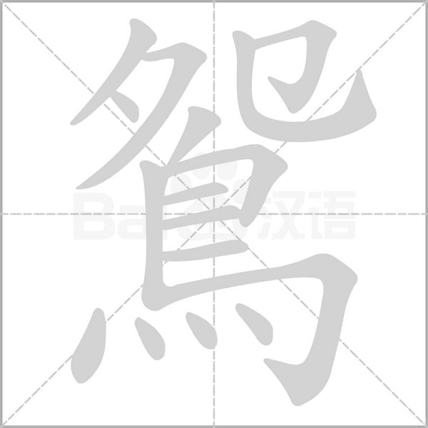 鴛字笔顺动画