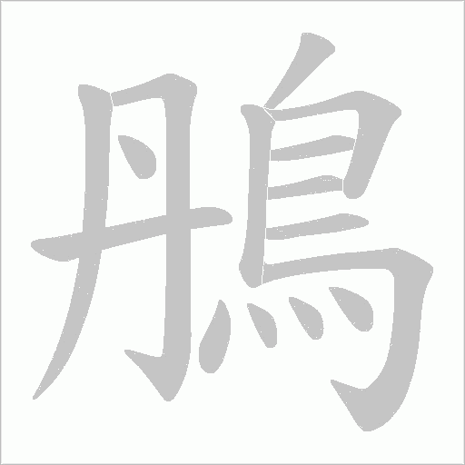 鴅字笔顺动画