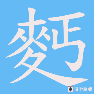 麫字笔顺动画