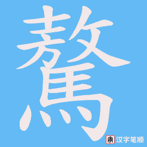 驁字笔顺动画