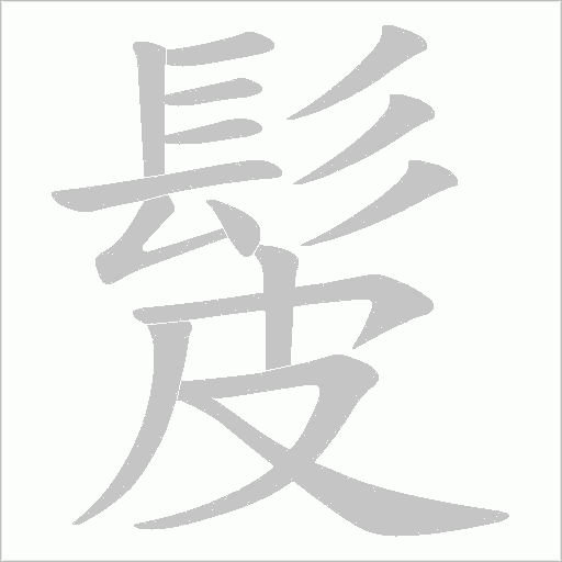 髲字笔顺动画