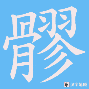 髎字笔顺动画