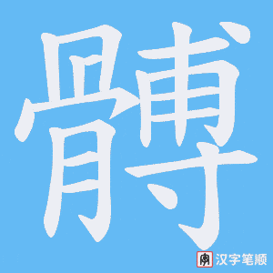 髆字笔顺动画