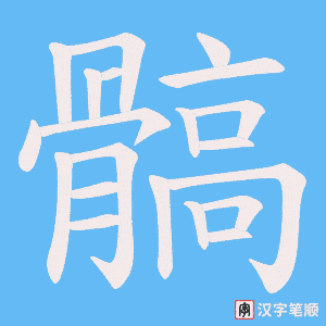 髇字笔顺动画