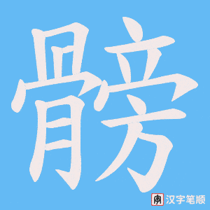 髈字笔顺动画