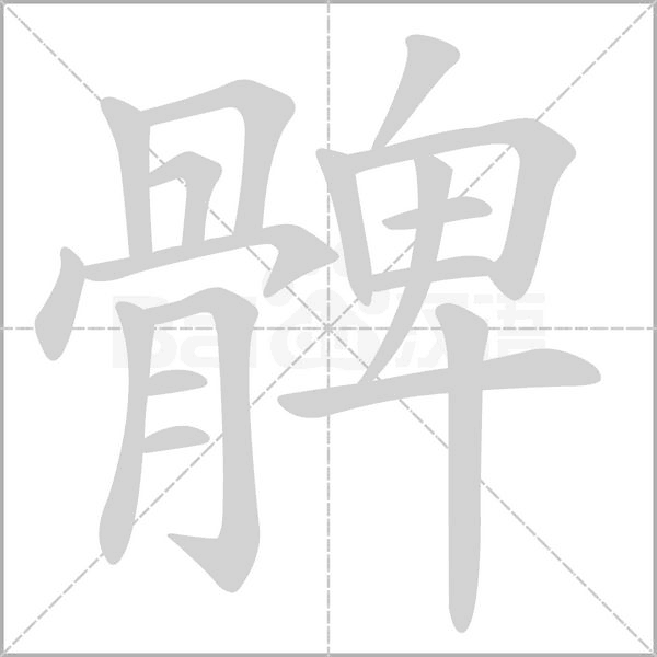 髀字笔顺动画
