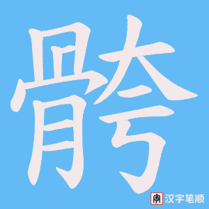 骻字笔顺动画